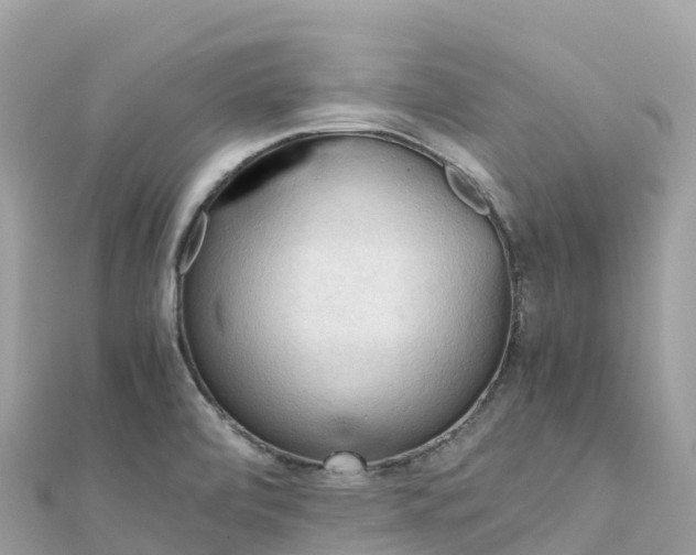 X0000111861472200907301121
