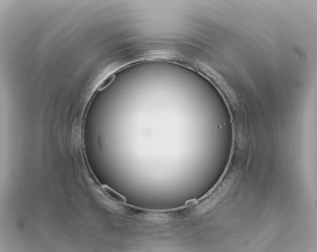 X0000111861473200907301121