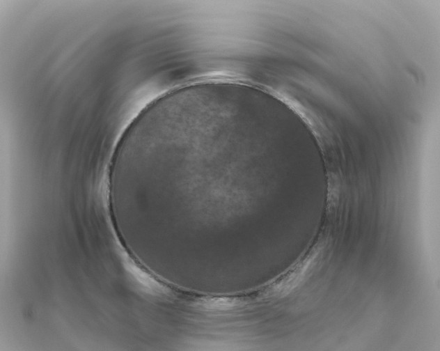 X0000111861474200907301121