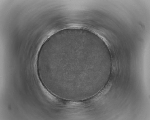X0000111861475200907301121
