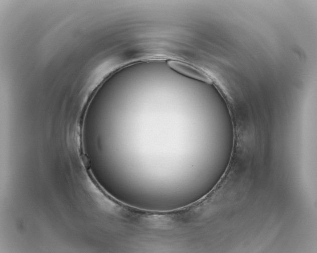 X0000111861476200907301121