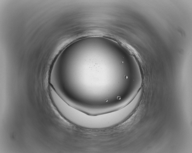 X0000111861477200907301121