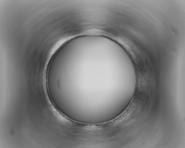 X0000111861478200907301121