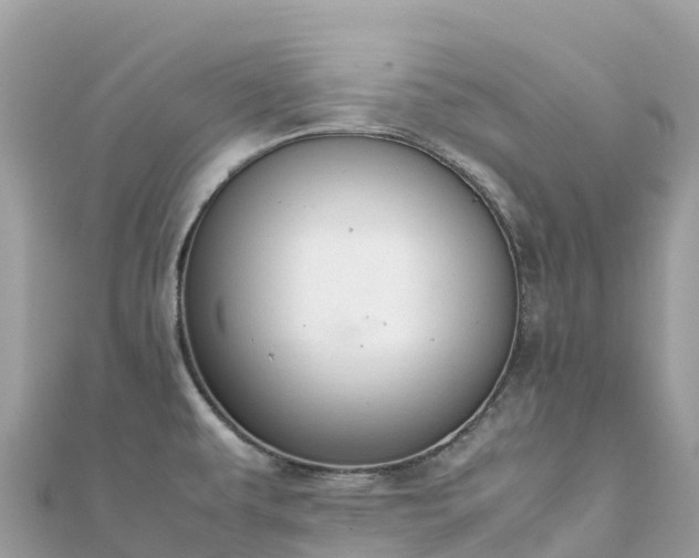 X0000111861479200907301121