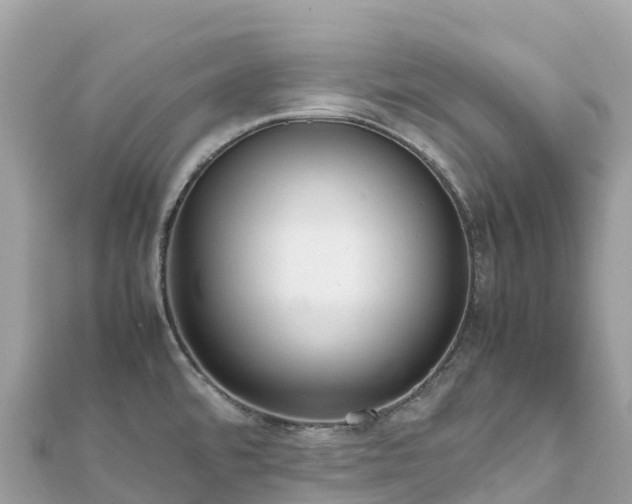 X0000111861480200907301121