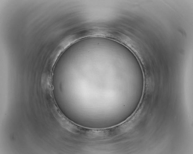 X0000111861481200907301121