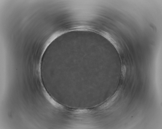 X0000111861482200907301121