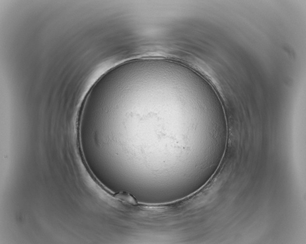 X0000111861483200907301121