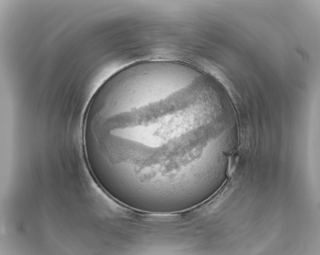 X0000111861487200907301121