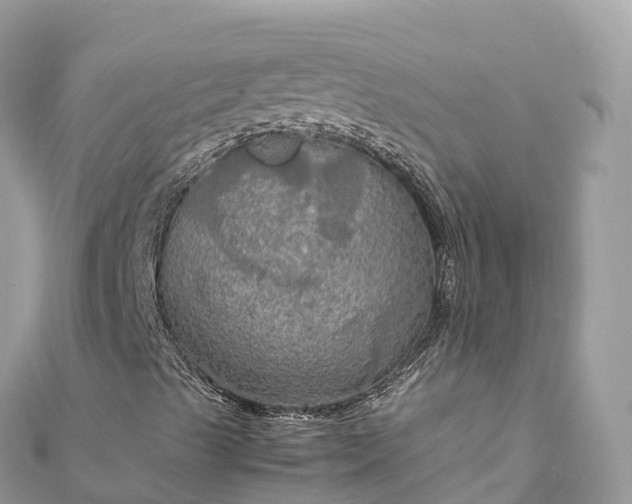 X0000111861489200907301120