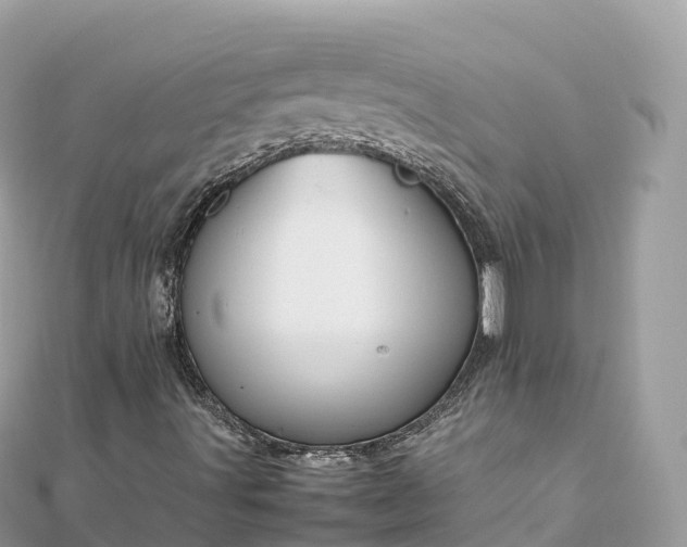 X0000111861491200907301120