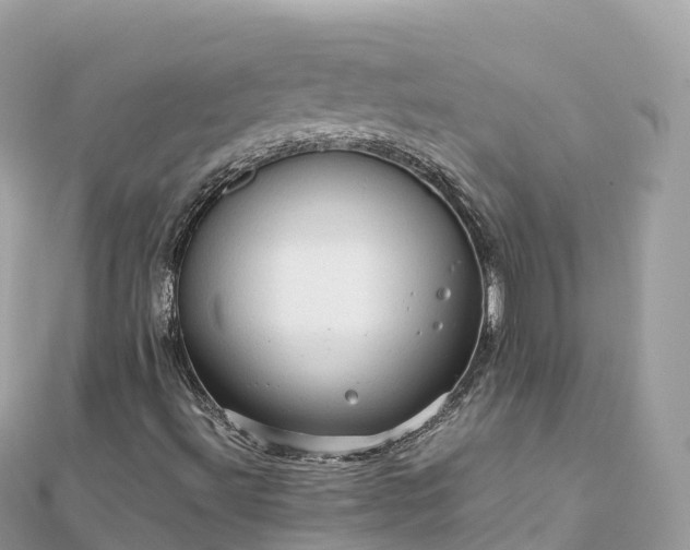 X0000111861492200907301120