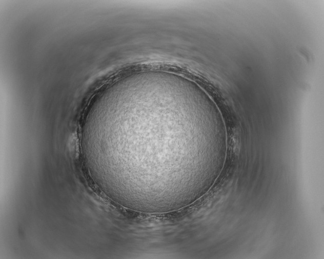 X0000111861493200907301120