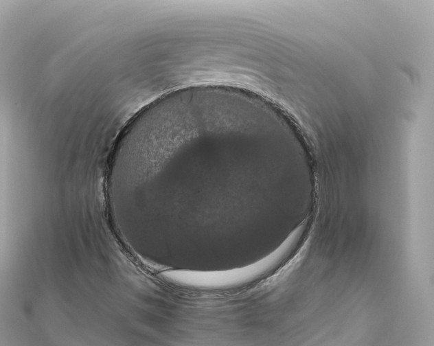 X0000111861497200907301120