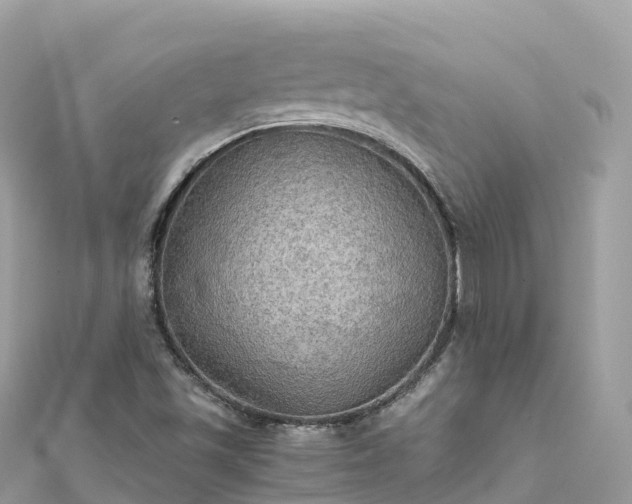 X0000111861501200907301120