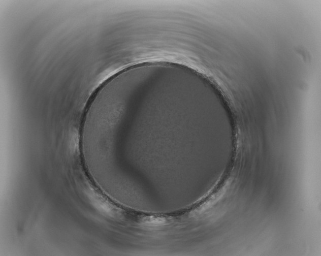X0000111861505200907301121
