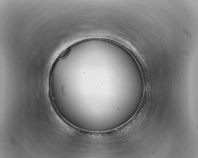 X0000111861512200907301121