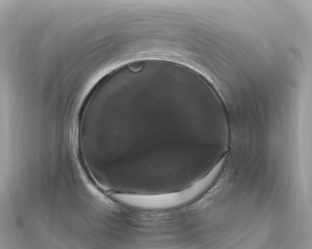 X0000111861515200907301121