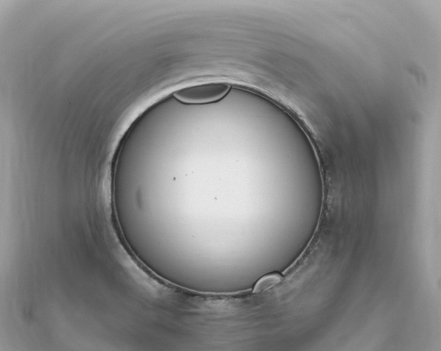 X0000111861516200907301121