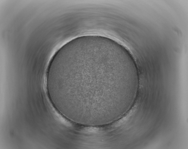 X0000111861517200907301121