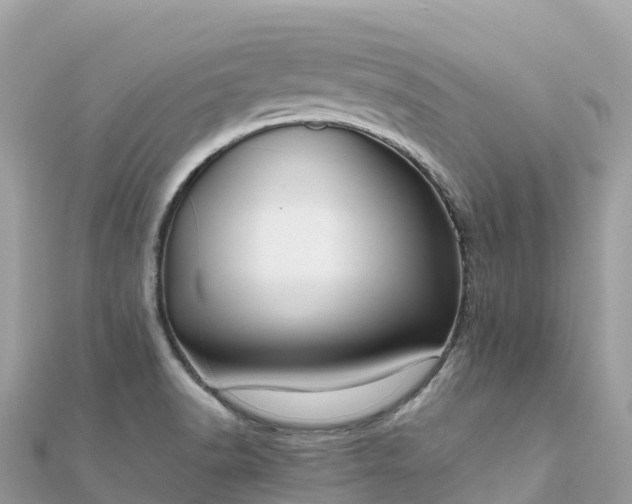 X0000111861518200907301121