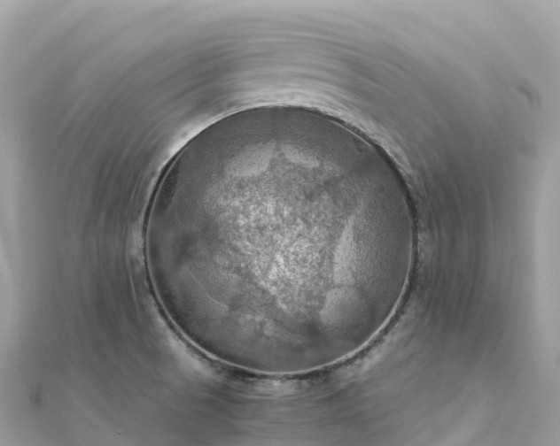 X0000111861521200907301121