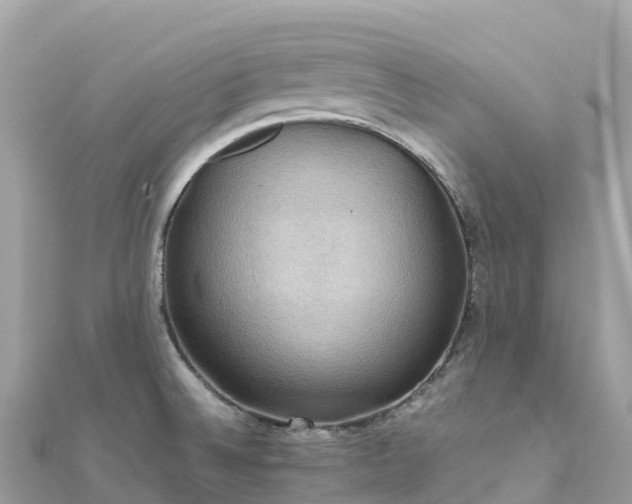 X0000111861524200907301121