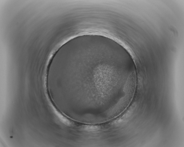 X0000111861525200907301121