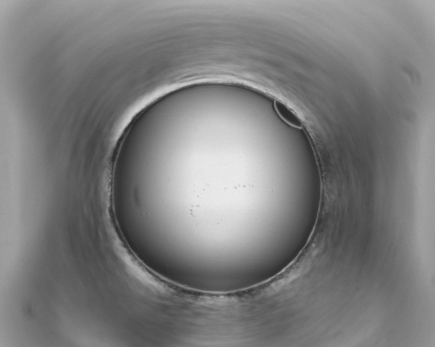 X0000111861526200907301121
