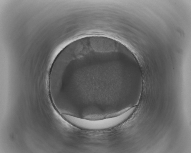 X0000111861527200907301121