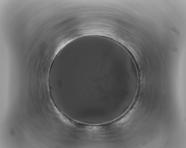 X0000111861529200907301121