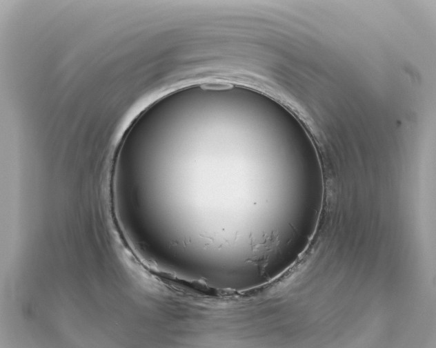 X0000111861530200907301121