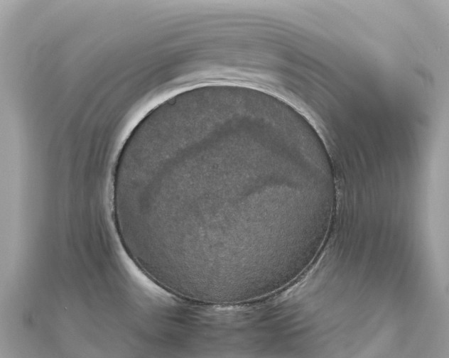 X0000111861531200907301121
