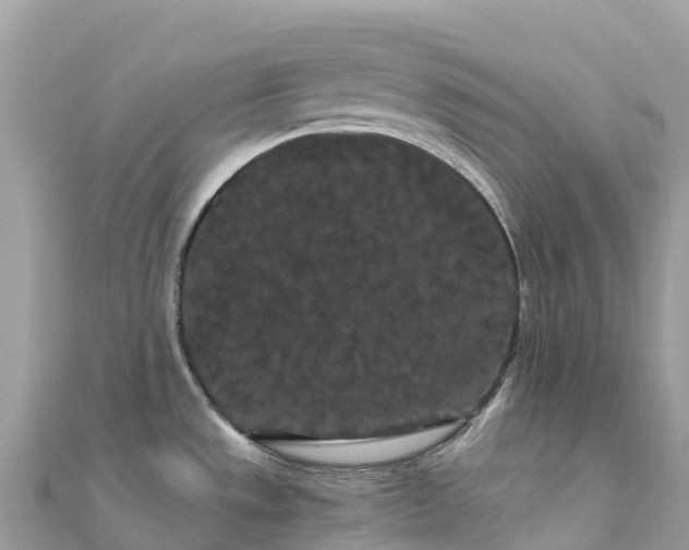 X0000111861533200907301121