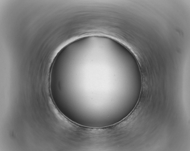 X0000111861534200907301121