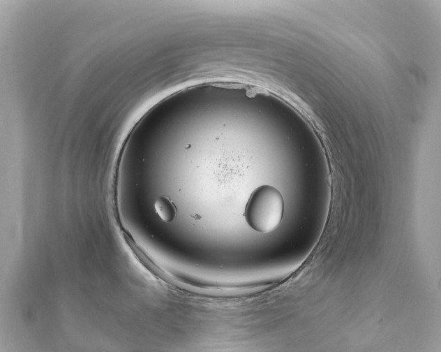 X0000111861536200907301121