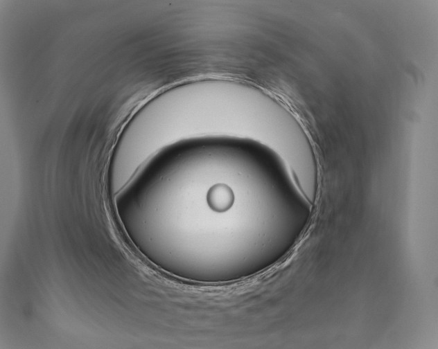 X0000111860001200908061345