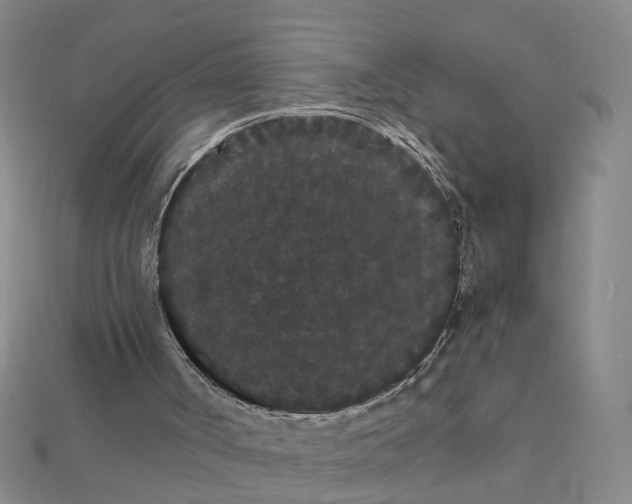 X0000111860002200908061345