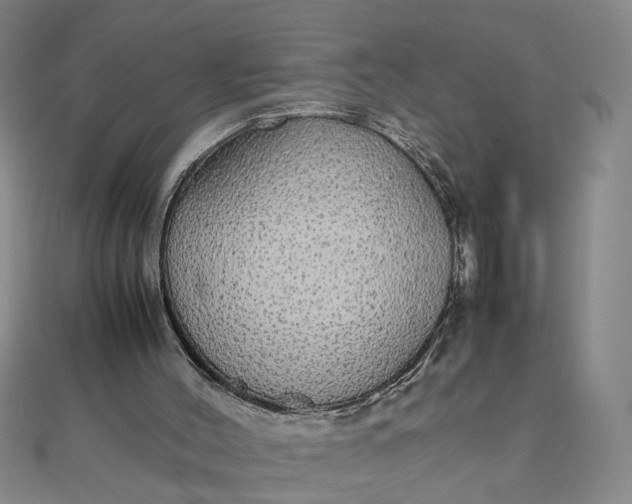 X0000111860004200908061345