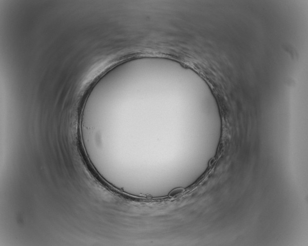 X0000111860005200908061345