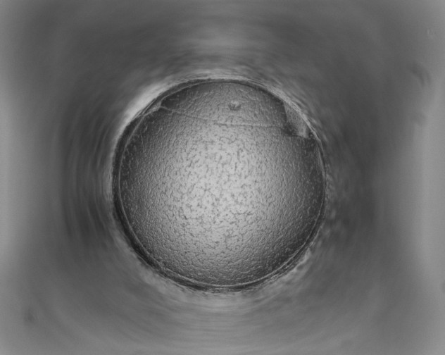 X0000111860008200908061345