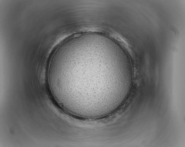 X0000111860012200908061345