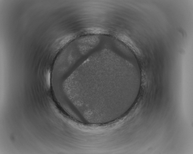 X0000111860014200908061345