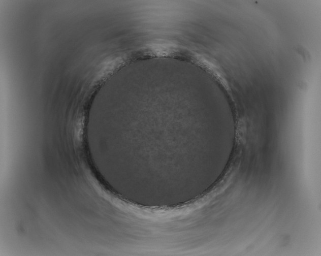 X0000111860018200908061345