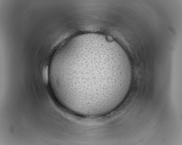 X0000111860020200908061345