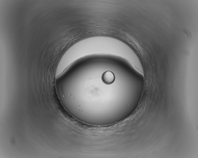 X0000111860025200908061345