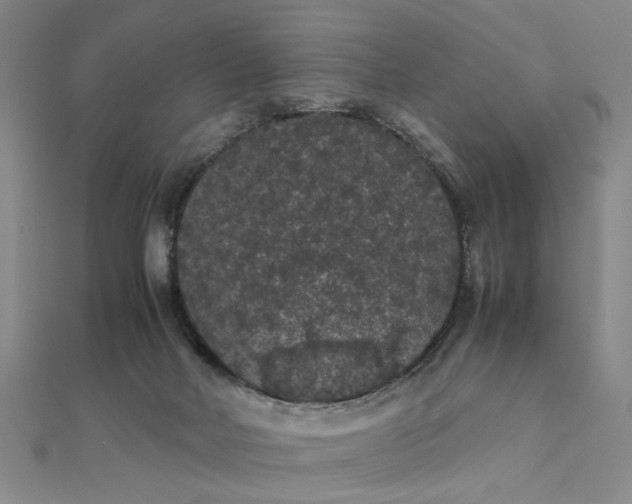 X0000111860026200908061345