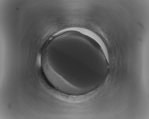 X0000111860027200908061345