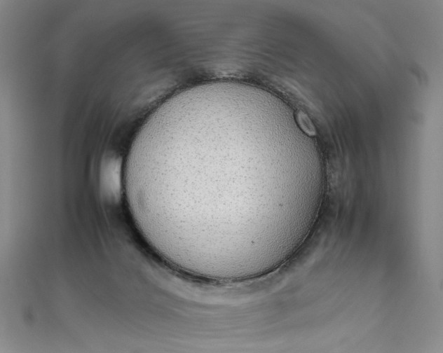 X0000111860028200908061345