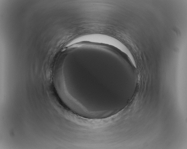 X0000111860031200908061345